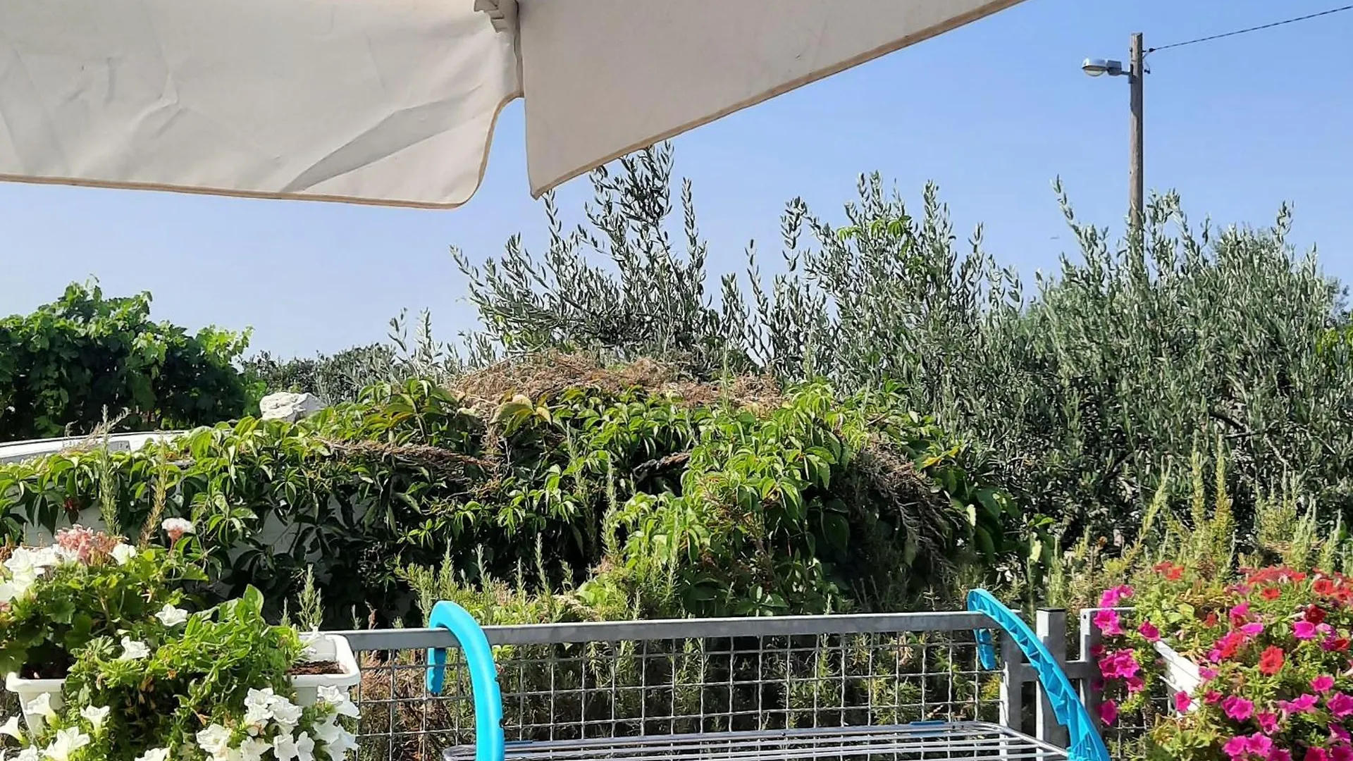 Apartment Studio Apartman Mare Trogir
